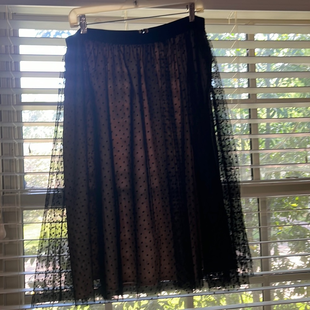Beautiful tulle skirt by Ann Taylor size large
